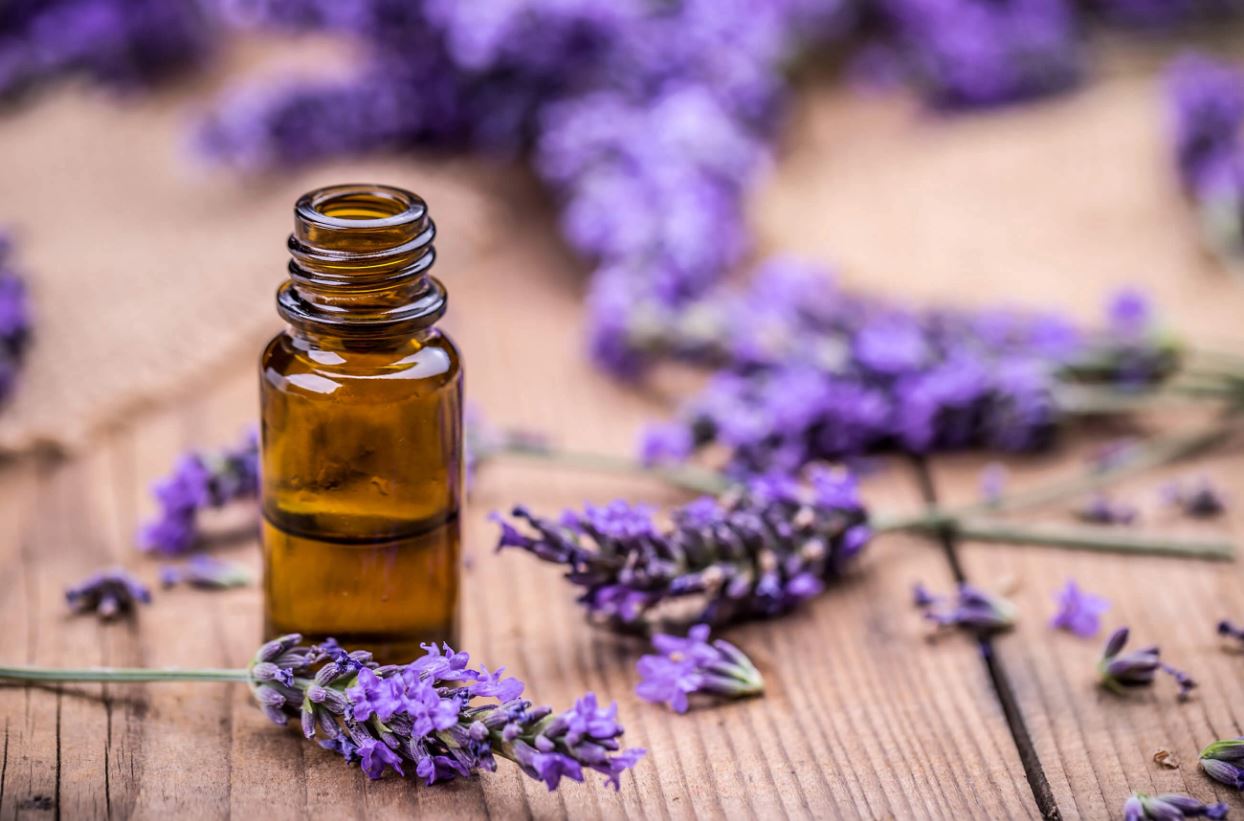 LAVENDER OIL